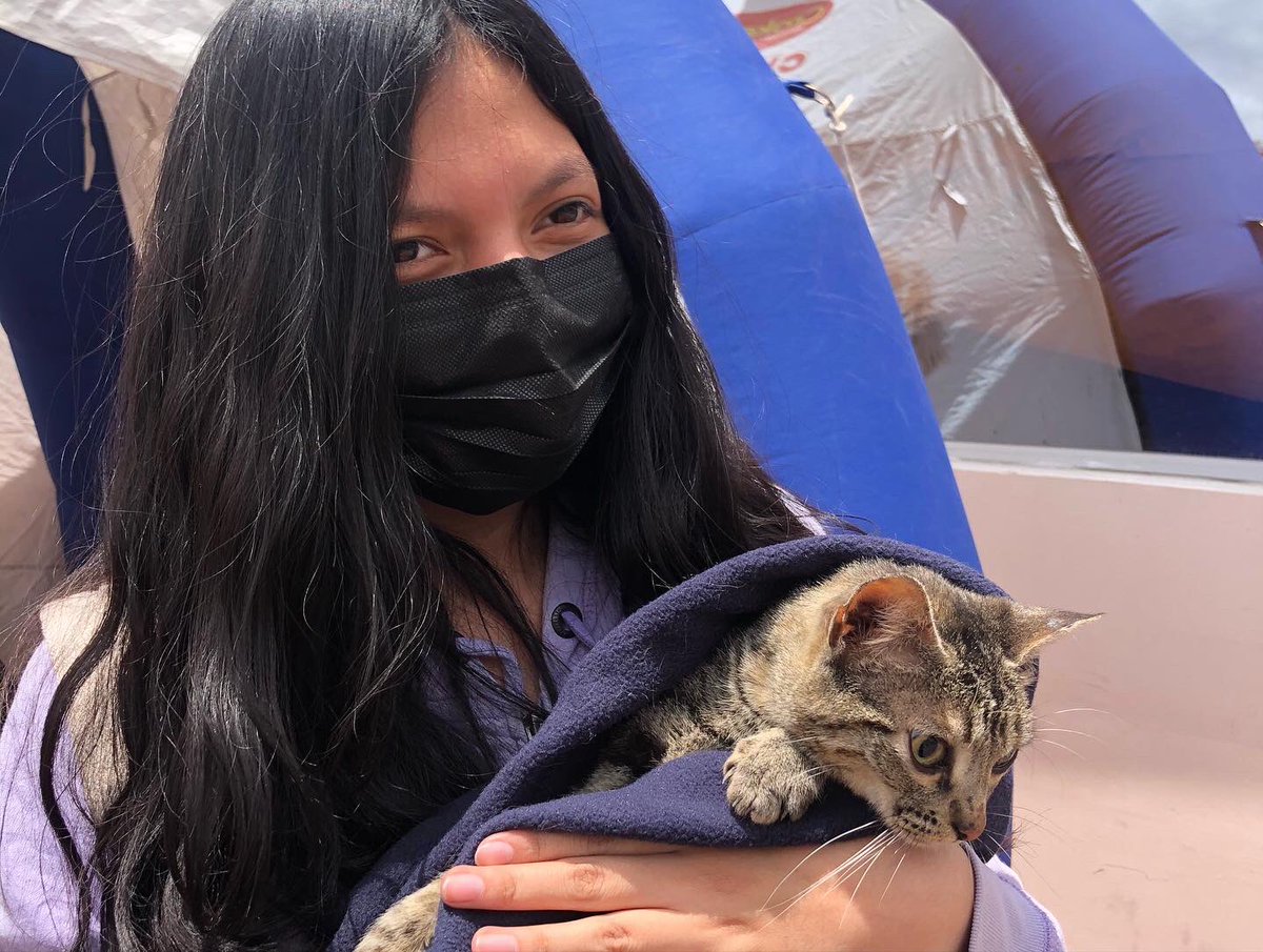 RioCapitalAnima's tweet photo. ✅ 55 esterilizaciones en la Plaza Alfaro 🙌🏻🤩🥳

En el cuarto día de la “Gran Campaña de Esterilizaciones” queremos agradecer a Bomberos Riobamba Plaza Artesanal del Tren Riobamba y al UPC de la Estación por su apoyo y apertura para realizar la campaña.
#Riobamba https://t.co/ZRgj1AhEql