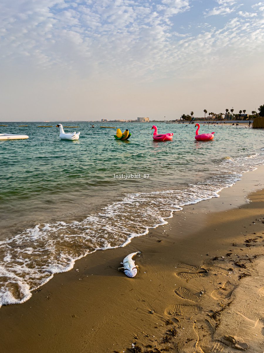 jubail_87's tweet photo. @cmakers_ent https://t.co/pW8EpVWOD5