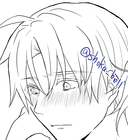 気づいてしまった…まとめ本の描き下ろし部分長谷部の表情筋豊かな顔芸あんまない…!
(再録部分はいっぱいある) 