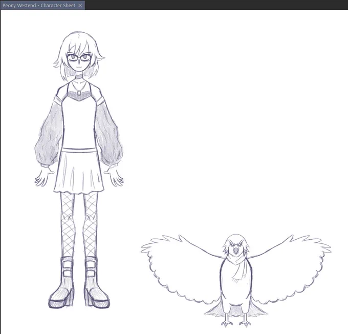 random sketch of a lady and her pet hawk 