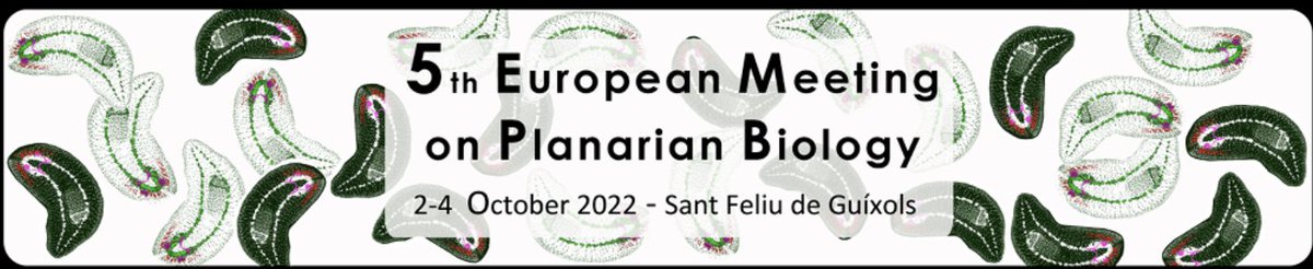 Rink Lab tweet media