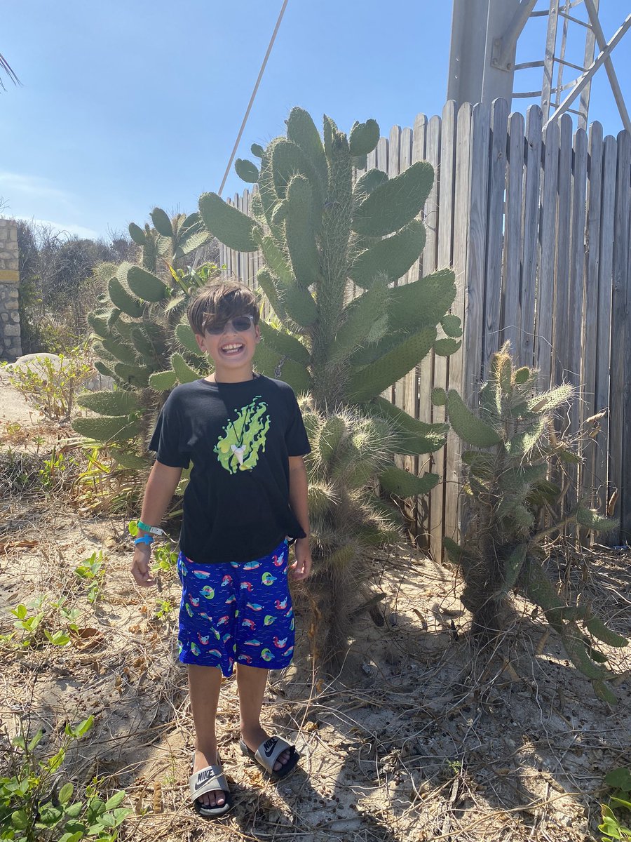 BulletSweats's tweet photo. Yo @Preston! We took fire merch all the way to Haiti this summer… and the kiddo says you’re really into cacti? 🌵
#FireMerch #PrestonPlayz #Prestonstylez https://t.co/D9gD5fl0xk