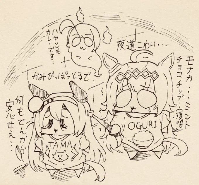 亜季族もお盆がすぎてご先祖様が帰りました…カレーでなくてもハヤシライスも美味しいです 