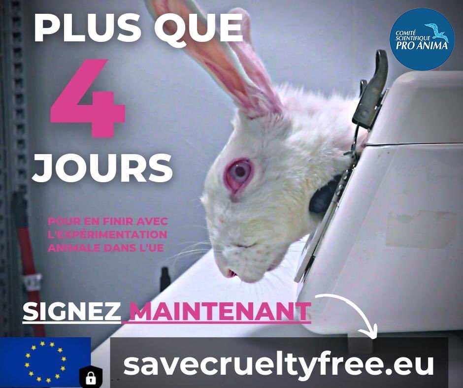 ComiteProAnima's tweet photo. Rejoignez plus d’1 Million de citoyens européens !
Signez maintenant pour défendre une Europe sans test sur animaux pour des cosmétiques !
https://t.co/sBqAKGidu3
#savecrueltyfreecosmetics #endanimaltesting #ice #eci #iniative #initiativecitoyenne #europe https://t.co/YGxQD9VdI7