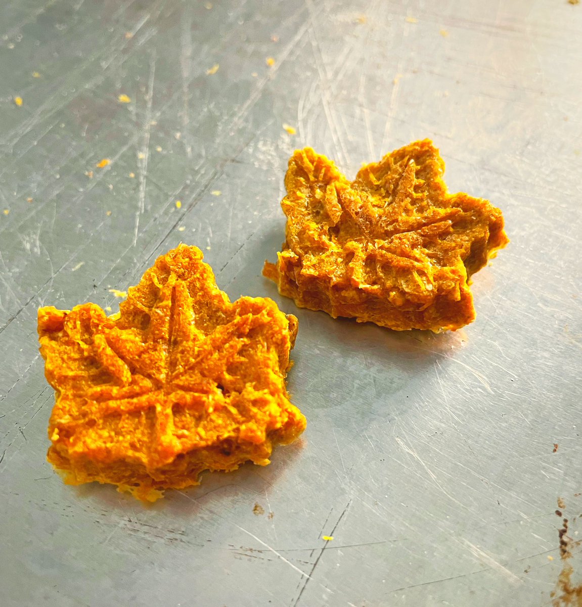 Been working hard on the fall menu. Think pumpkins, carrots, pies, leaves and all thing autumn! The most wonderful time of the year! #dogsoftwitter