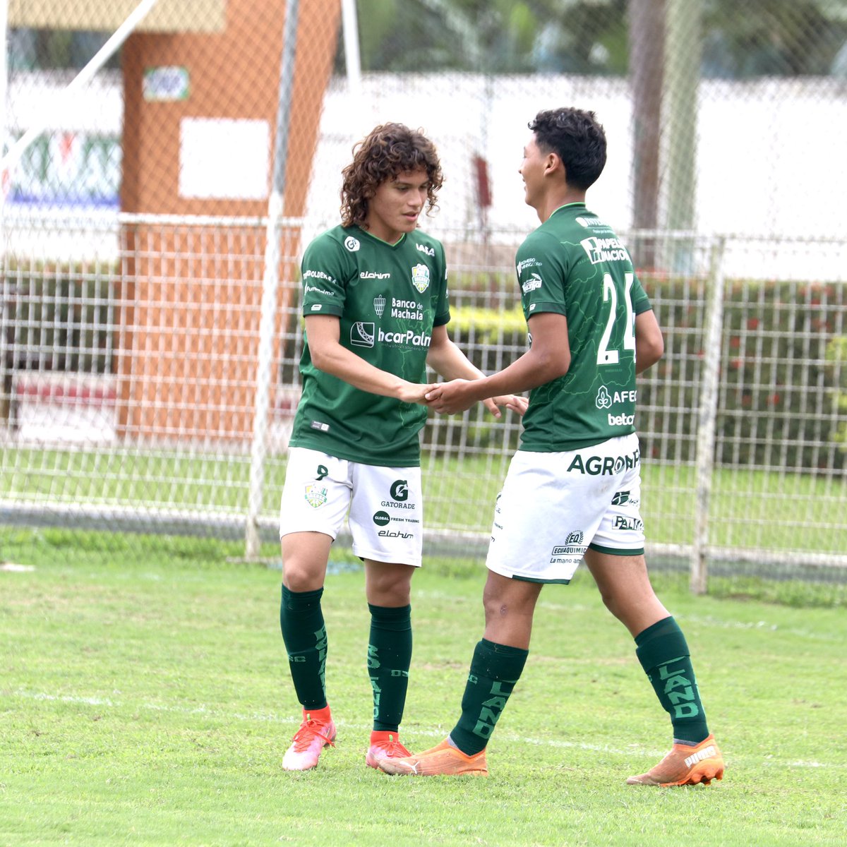 JosueNarvaez's tweet photo. El "Cavani" Orense 💎⚽️🔎

Erick Smith Zambrano Pesantes, delantero machaleño de 15 años, disputa el campeonato nacional categoría sub 15 con #OrenseSC; ha logrado anotar un total de 22 goles en 14 partidos, siendo uno de los jugadores mas destacados y con mejor promedio de gol. https://t.co/052JMUfsCA