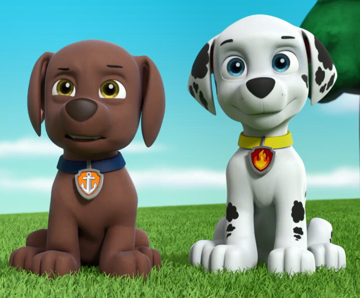 Paw Patrol Critic tweet media
