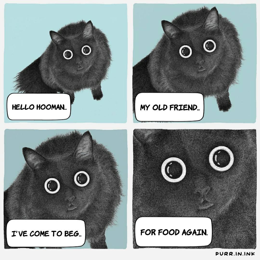 purrinink's tweet photo. #cat #comic https://t.co/2jTtuVA2IJ