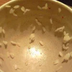 お茶碗にご飯粒いっぱい残ってるのに「ごちそうさま」言うやつ。めっちゃ嫌いです。