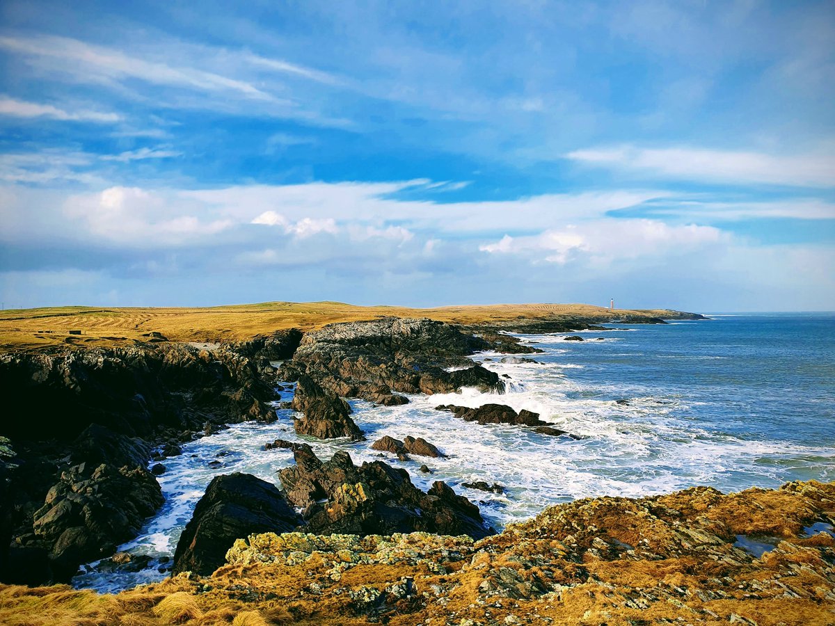 YPPsych's tweet photo. And even extend the walk further across the #Machair &amp; crossing your namesake's #MorrisonBridge to #DùnÈistean
A magical place to see #ArcticTerns  #Curlew &amp; the occasion #GreySeal #rónglas bobbing by ....
#westernisles 
@UrrasOG 
@frankrennie 
@Nessnature https://t.co/9ziAaMduzd