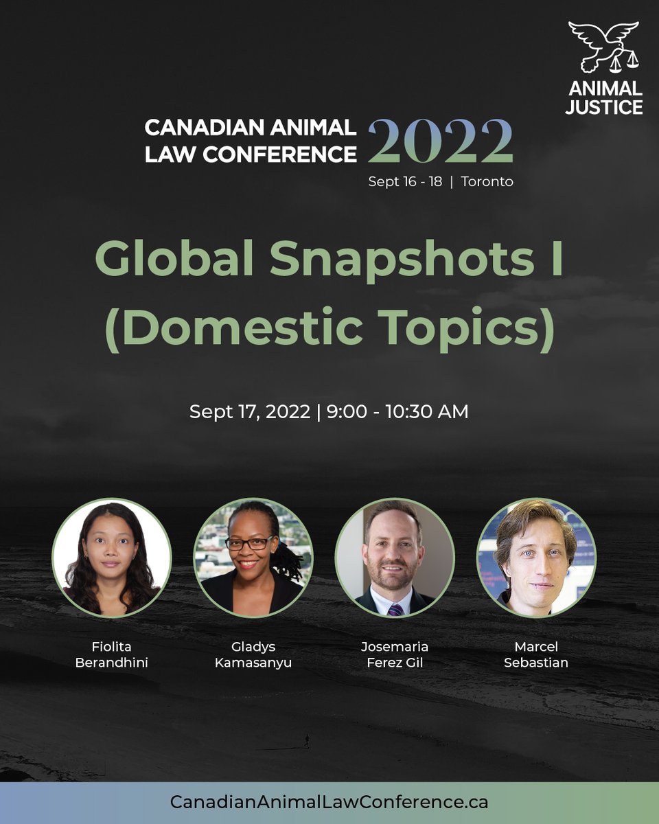 Animal Justice tweet media