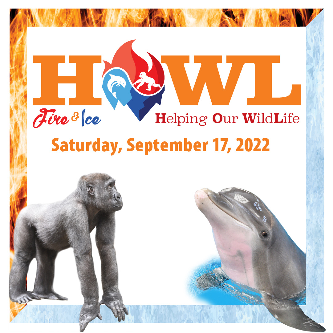 Brookfield Zoo on Twitter "On September 17, join us at HOWL Helping