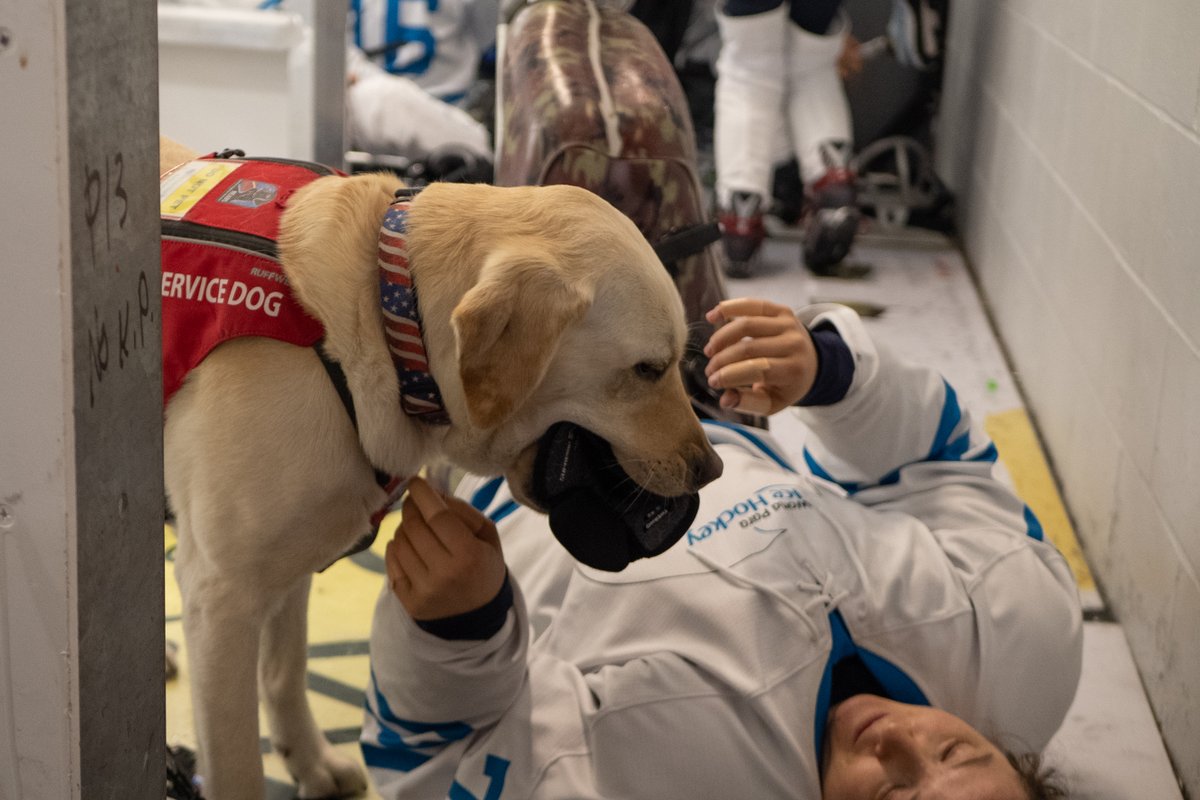 paraicehockey's tweet photo. All eyes on the ice! 🐕‍🦺

Dogs, babies, people all around the world, tune in for last day's action in Green Bay!

We're sure Sully will be watching and cheering Team World! 🌍

📸 @CSMediaCDF / WPIH

#WomensWorldChallenge | #ParaIceHockey | @Citi | @ParaSport https://t.co/Zjy4rekbMP