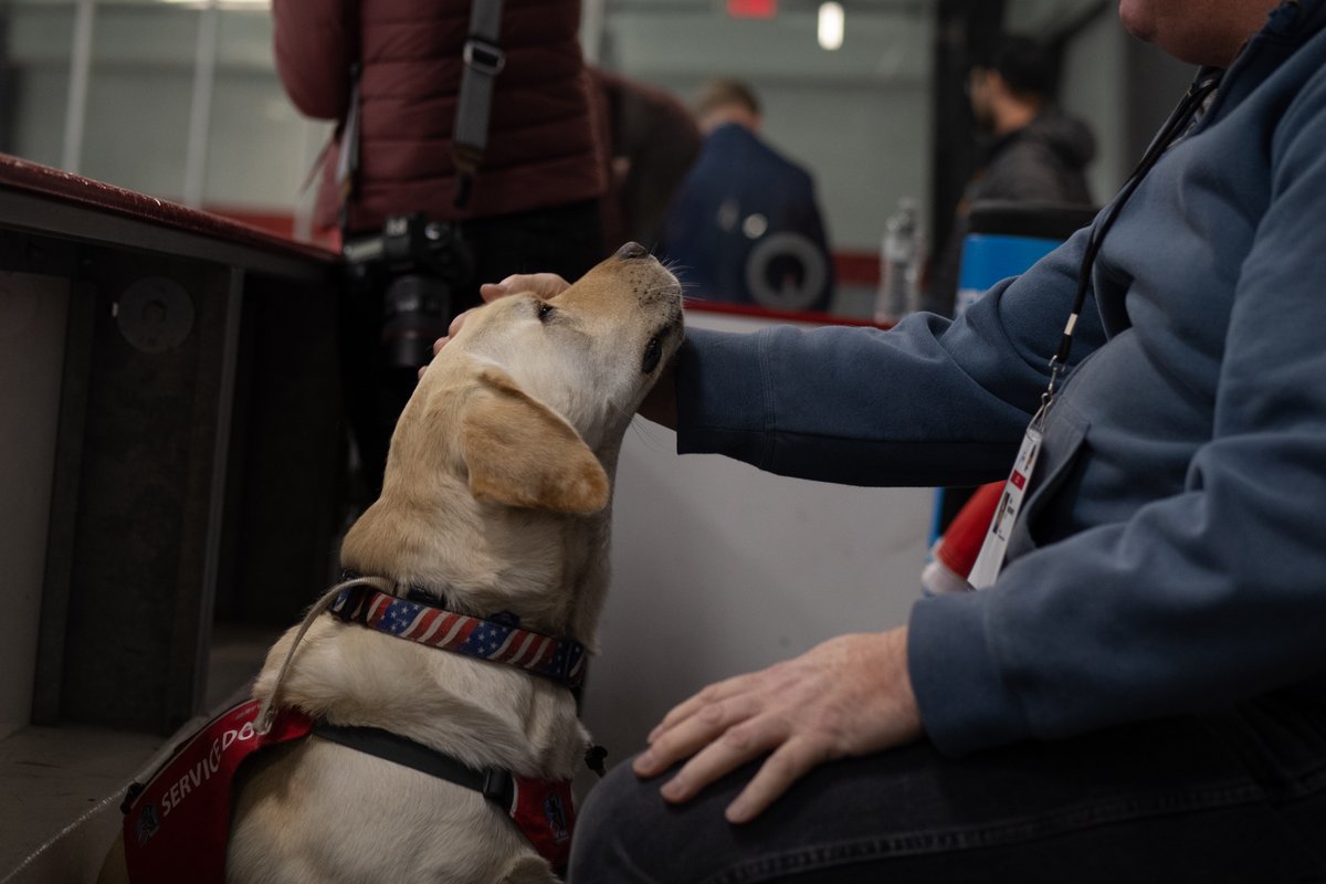 paraicehockey's tweet photo. All eyes on the ice! 🐕‍🦺

Dogs, babies, people all around the world, tune in for last day's action in Green Bay!

We're sure Sully will be watching and cheering Team World! 🌍

📸 @CSMediaCDF / WPIH

#WomensWorldChallenge | #ParaIceHockey | @Citi | @ParaSport https://t.co/Zjy4rekbMP