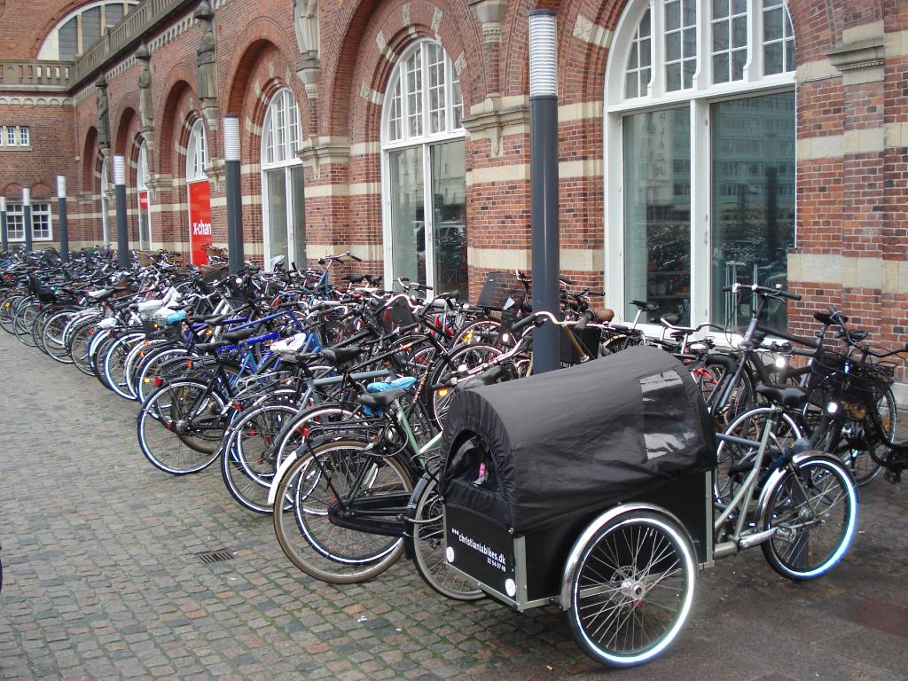 "Bicycles are the indicator species of a healthy community, like shellfish in a bay."