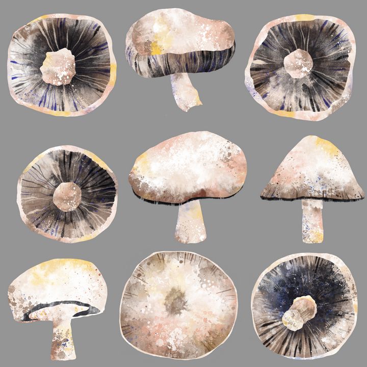 NicSquirrell's tweet photo. Featured Art of the Day: "Possibly Poisonous Mushrooms". Buy it at: https://t.co/B1p2HtxiGZ https://t.co/zBmjtBFYKc