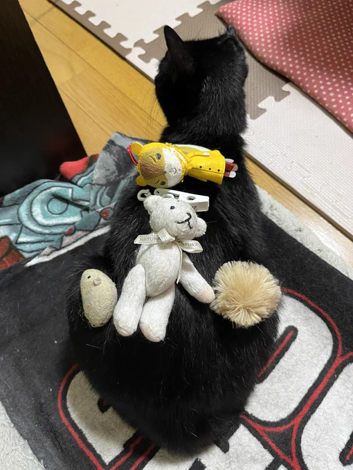 なに…?今日すごい心広くない…?? 