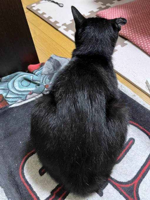 なに…?今日すごい心広くない…?? 