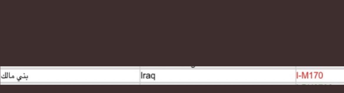 Arab_IM170's tweet photo. نتيجه جديده من العراق 🇮🇶 
 القبيله بنى مالك(المالكى) -جنوب العراق 
 رقم العينه  429080 https://t.co/ZXHKj4YAvl