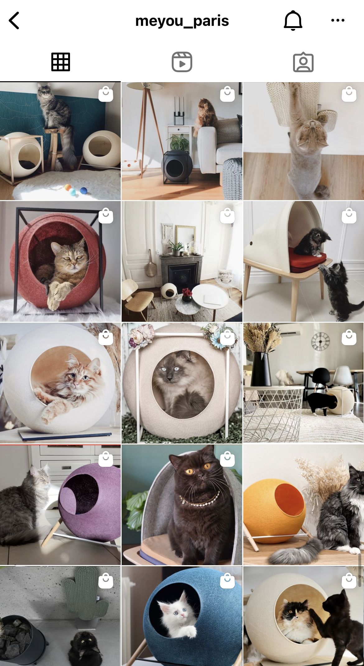 猫と衣食住 Neko Ishokuju Twitter