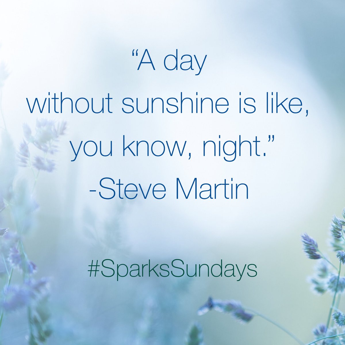 TheMusicMedium's tweet photo. #happysunday #sunshine #adaywithoutsunshine #night #stevemartin #stevemartinquote #stevemartinquotes #funnyquote
 #funnyquotes #sunday #sparksgirl #sparkssundays #sparks #sparksgirlforever #jennifersparksmusic #jennifersparks https://t.co/bSU4Csccdt