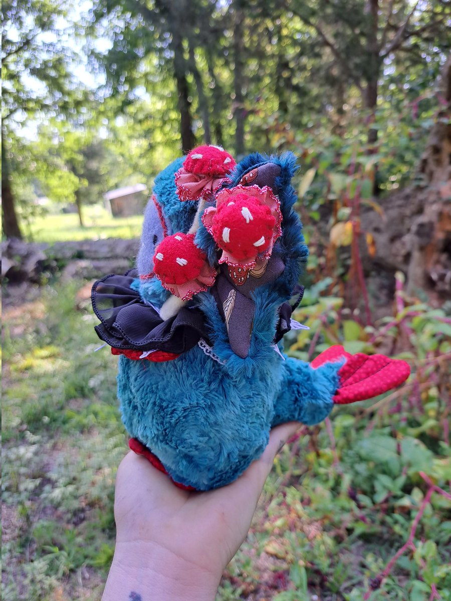 Carnivalbugs's tweet photo. Figg the mushroom siren
#mushrooms #circus #cottagecore #clowncore #plushie #plush #ioak #artdoll https://t.co/IiqOBMwS47