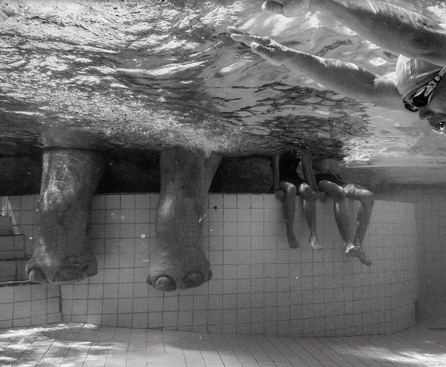 Mini Archillect tweet media