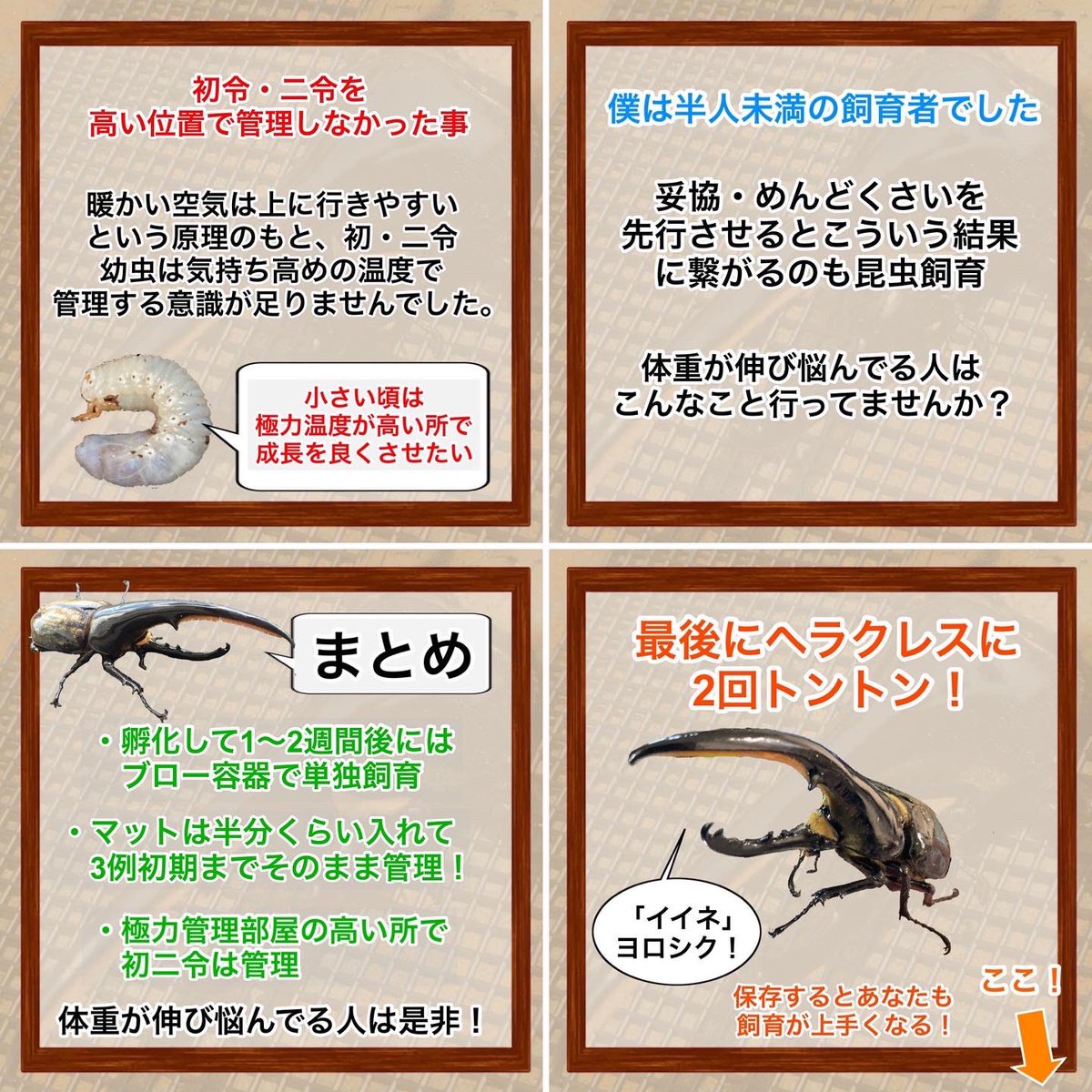 0140mm's tweet photo. 体重が乗らないという人は1つ、参考にしていただければと思います🙇‍♂️ https://t.co/8WuPwGOsAN