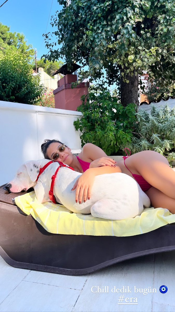 Aybüke Pusat Brasil 🦊 tweet media