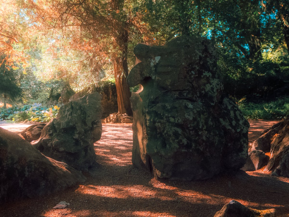 Sean Murphy tweet media