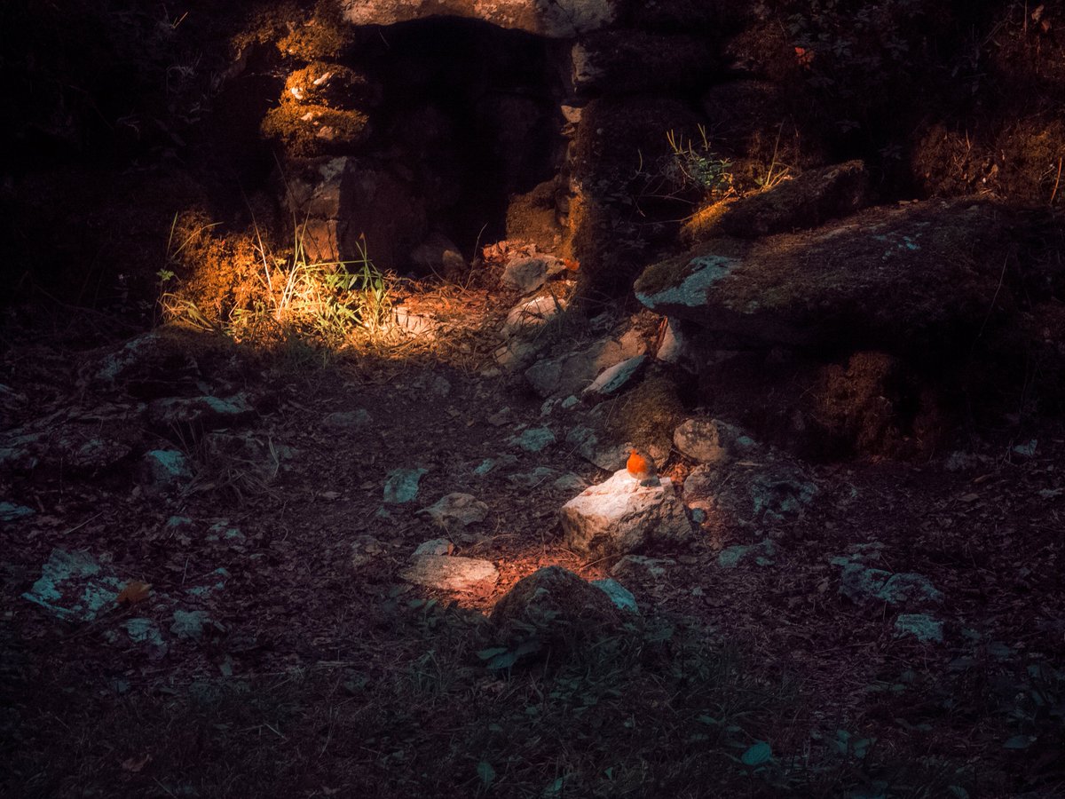 Sean Murphy tweet media