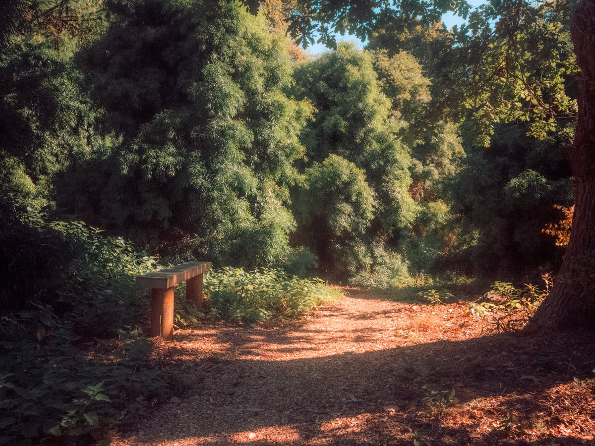 Sean Murphy tweet media