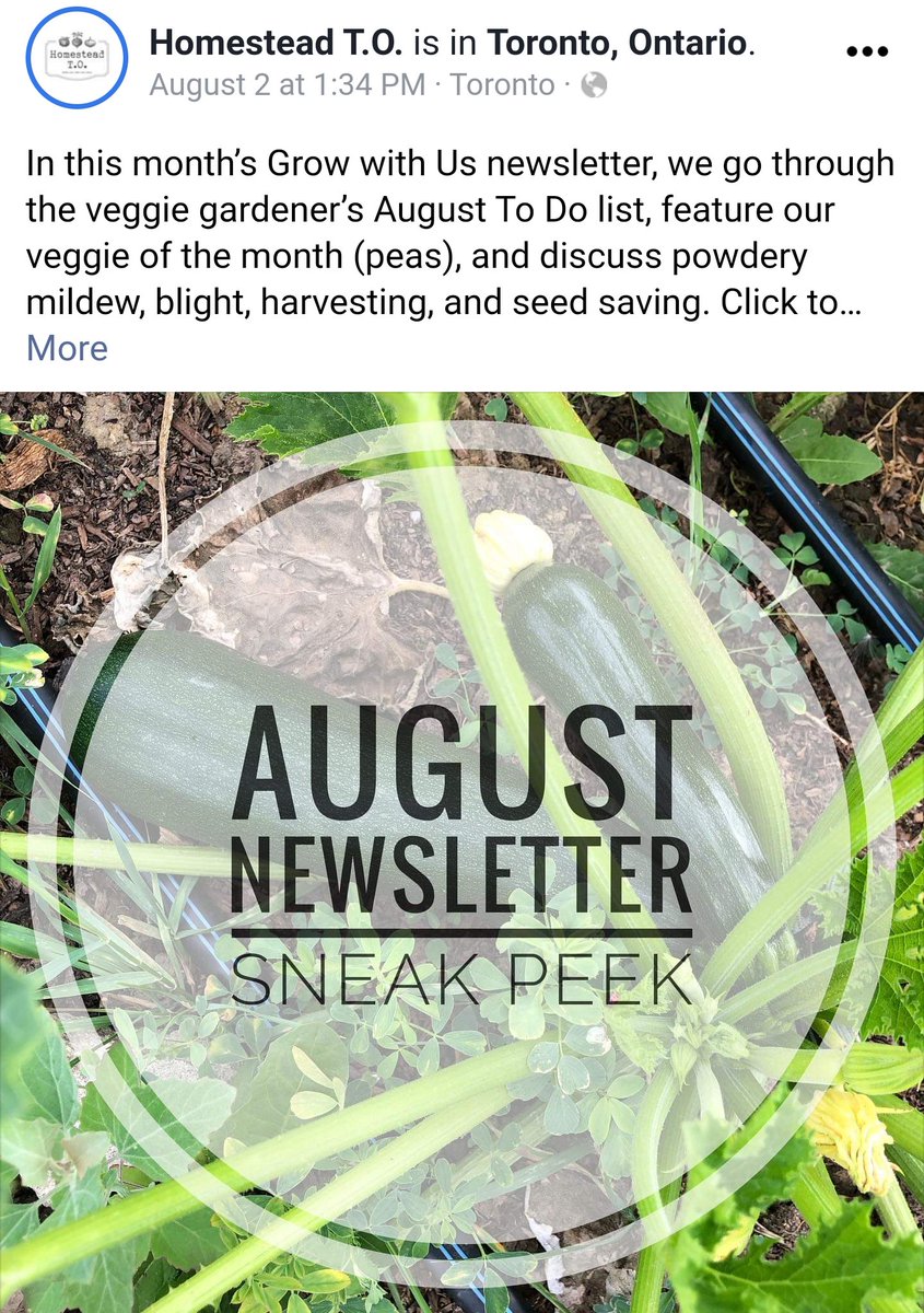 0wasteTO's tweet photo. Hey #Toronto, have you checked out the edible gardening August To Do list via #HomesteadTO (https://t.co/JewB9Nph70) + tips fr @WithrowMarket 👇? Time to plant 🌱 &amp; save #free #seeds still! 👏

#local #UrbanAg
#resilience #FoodSecurity 
#iGrowTO #PlasticFreeProduce https://t.co/TKuTZUi3dU