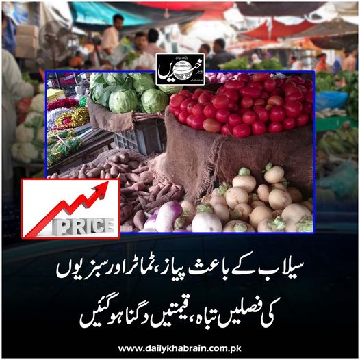 daily_khabrain's tweet photo. سیلاب کے باعث پیاز ،ٹماٹراور سبزیوں کی فصلیں تباہ ،قیمتیں دگناہو گئیں.
https://t.co/HePJE9RziL
Tap on the link to read full story 👆
#ratesincrease
#marketrates
#vegetables
#khabraindigital
#channelfivepakistan https://t.co/gWTze5huO9