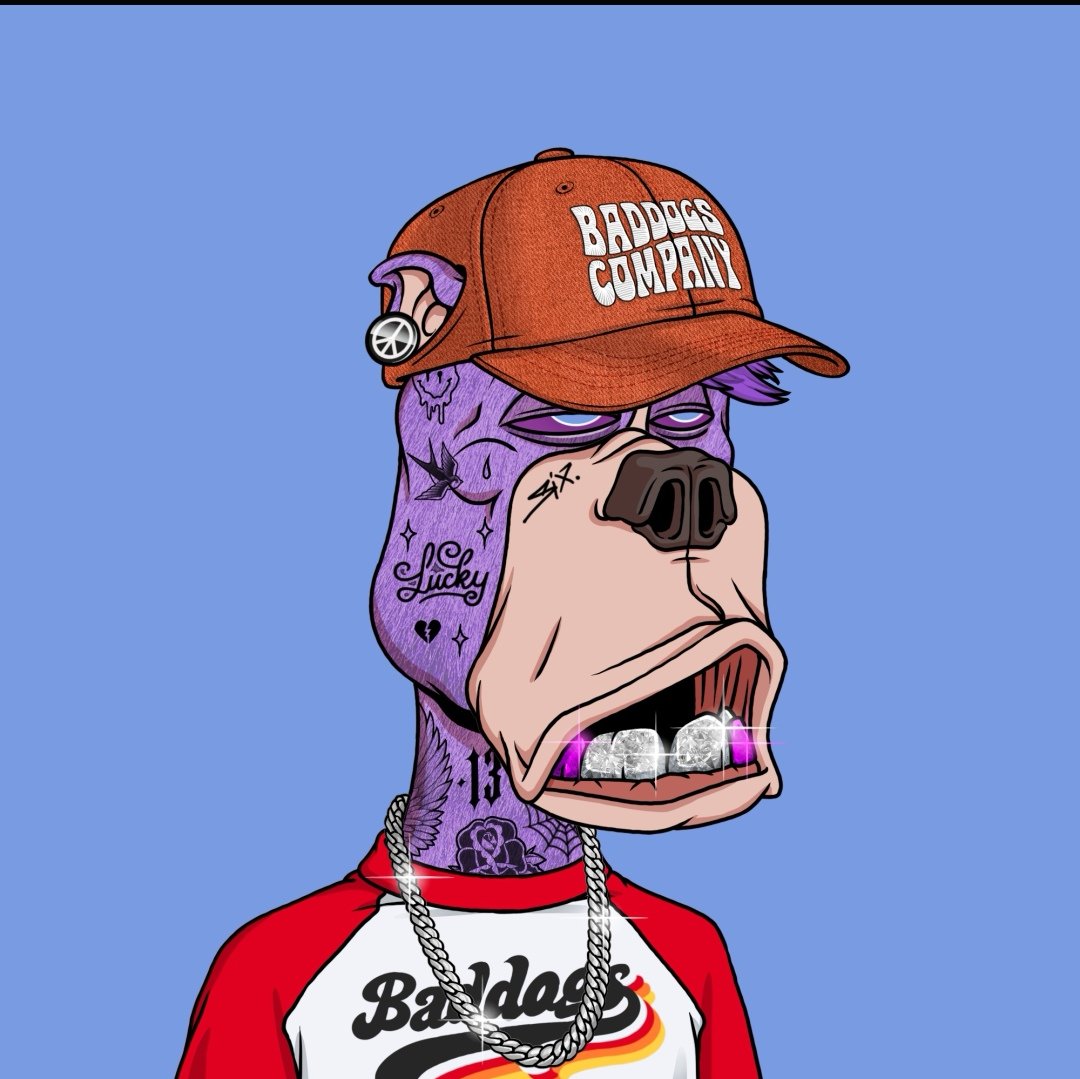 MetsukoNFT's tweet photo. @TashiHealth7 @PaladinCrypto @BadDogsCompany I don't know @TashiHealth7 I only hold real dogs in my wallet... 👀 #BDCO #realdogs #whosthatimposter https://t.co/GVQ5qomUJz
