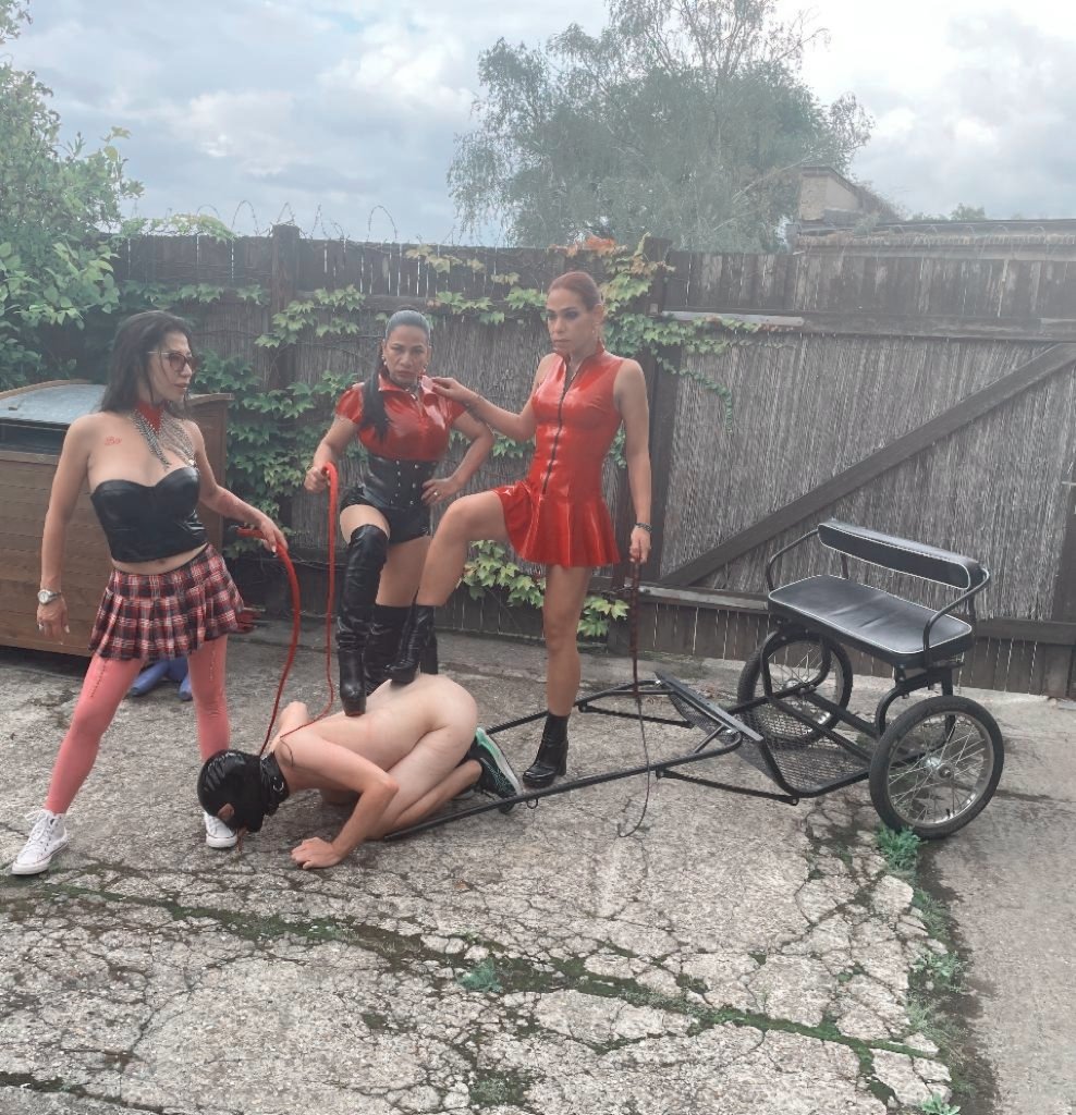 MsSaintlawrence's tweet photo. Training our pony with my sisters @Mistress_Kawa @MissDestiny_sg at the Avalon Residence. https://t.co/3MxtHY9z81