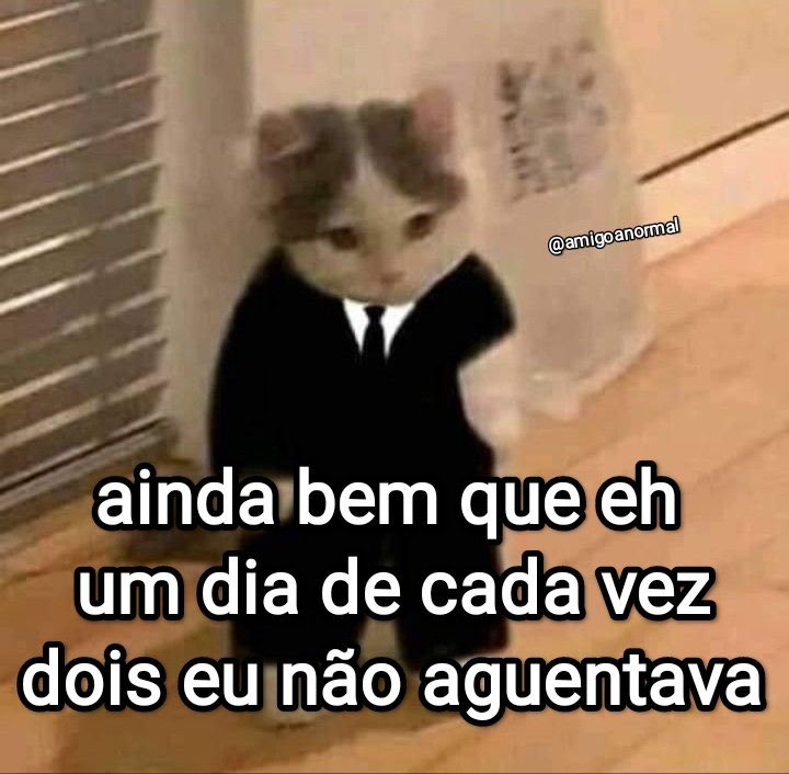 euovitinn's tweet photo. kkkkkkkkkk pois é https://t.co/HyX2oJpA4a