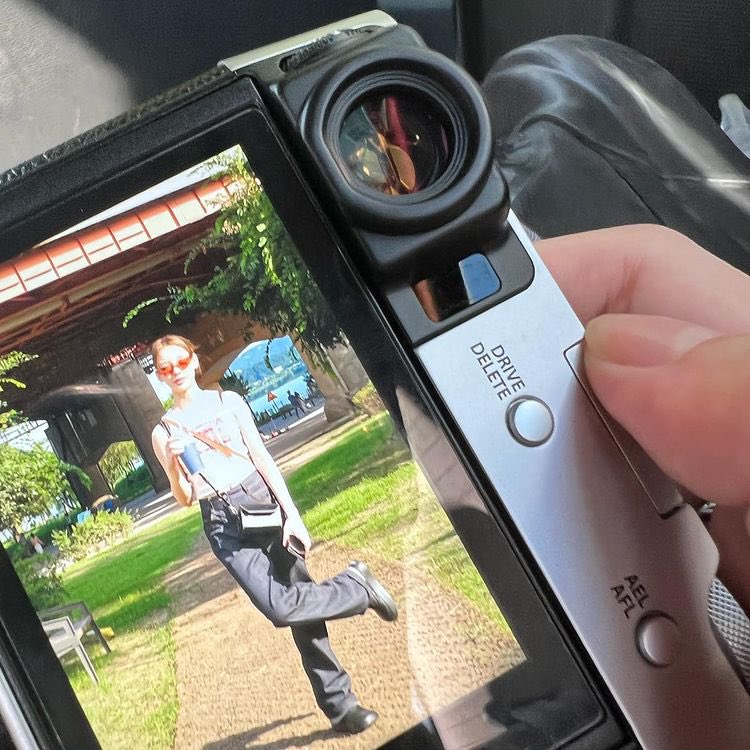 NO:ZELO tweet media