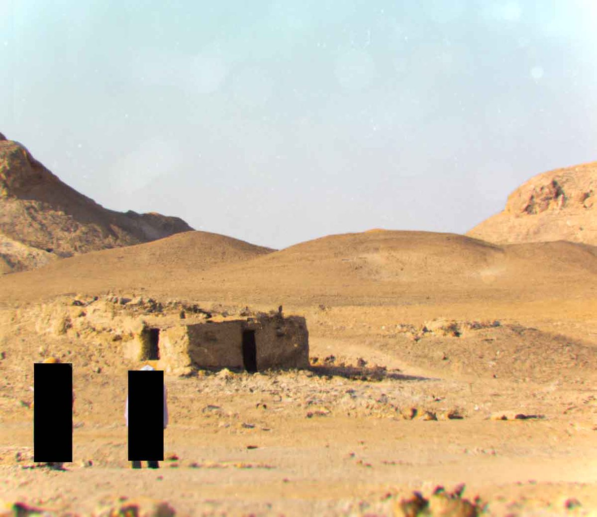 BirTawil tweet media