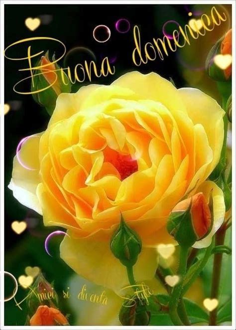 Croline Rabastin (@crolinerabastin) on Twitter photo 