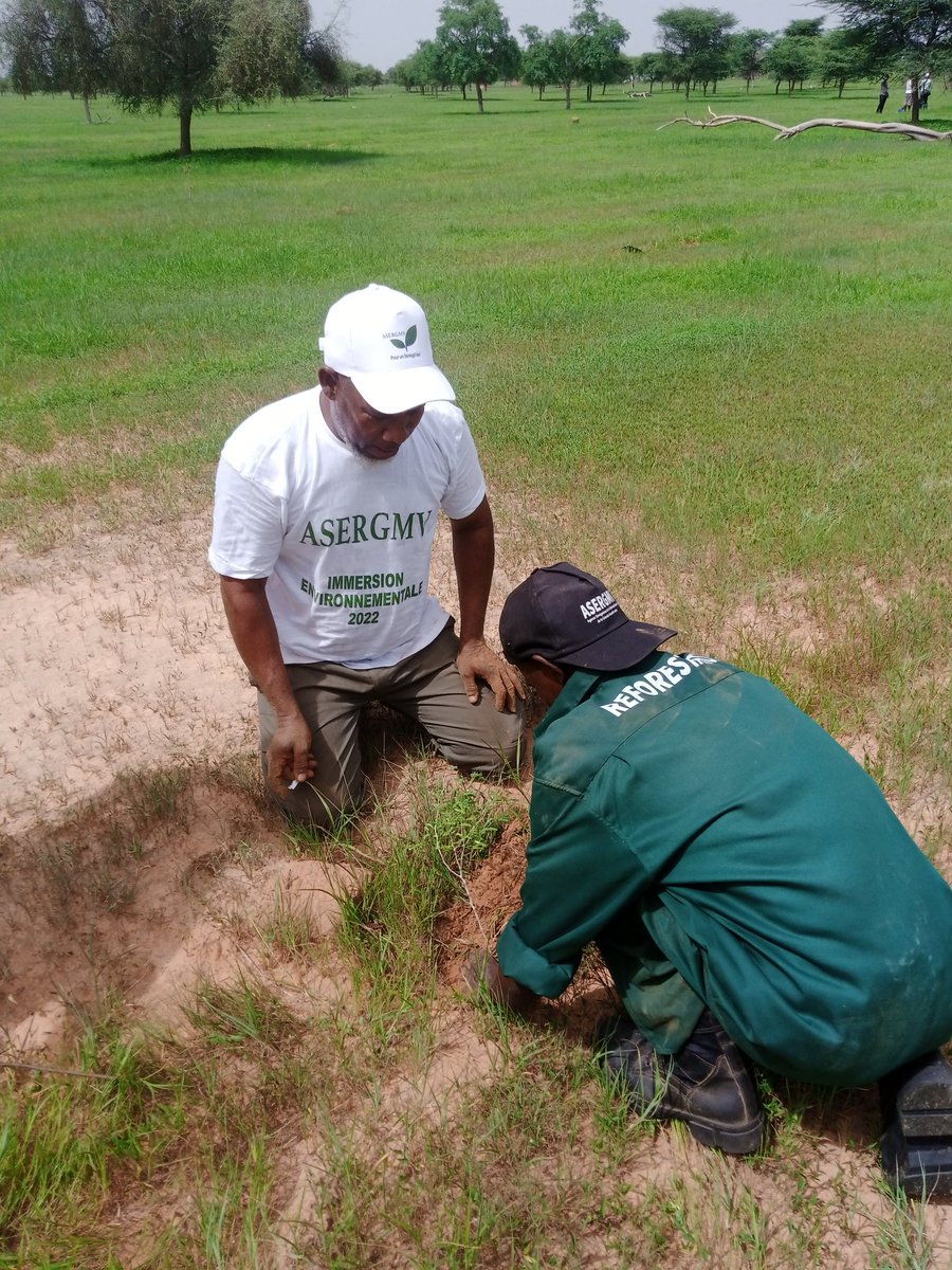 Mustafalosamb's tweet photo. Un seul objectif : #Reverdir le Sénégal, un défi qui sera relevé par l'@asergmv avec l'appui du #ProjetRIPOSTES de @FAOSenegal financé par l'Union Européenne
#EUGreenDeal @lalakader @savadogopatrick @YacinessCisse @YacineNdour5 https://t.co/4vvd8I6LlR