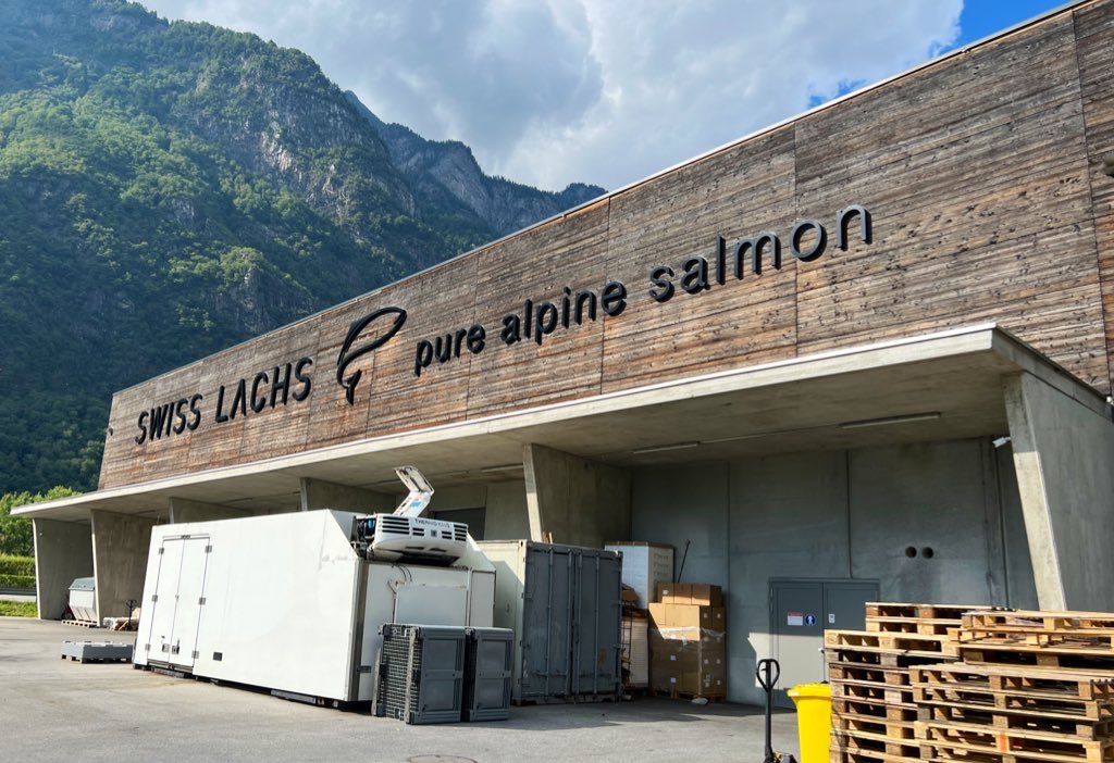 _Royville_'s tweet photo. Täältä saa ostaa aitoa Alppien lohta. Tuore file 71CHF/ kilo ja savustettuna 109CHF/kilo. 🧜🏼♂️
#Lostallo #Graubünden https://t.co/slnHfEsF4X