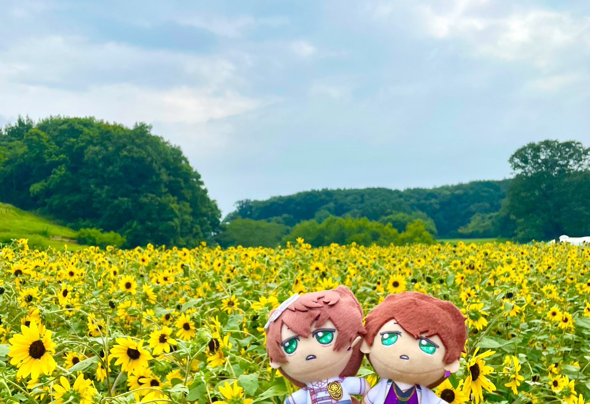 ma_mith_'s tweet photo. 🌻🌻 https://t.co/DFJsy8uZaV