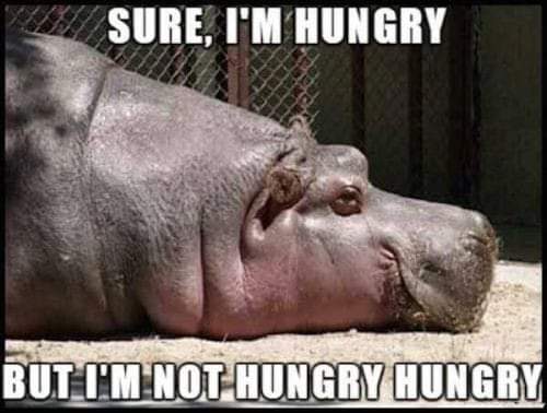sunny_joni's tweet photo. Yep..so much yep.  #alwaysalittlehungry #dowehavesnacks #hungryforlife #hungryforadventure #hungryforsunsets https://t.co/XOrZsbNH1f