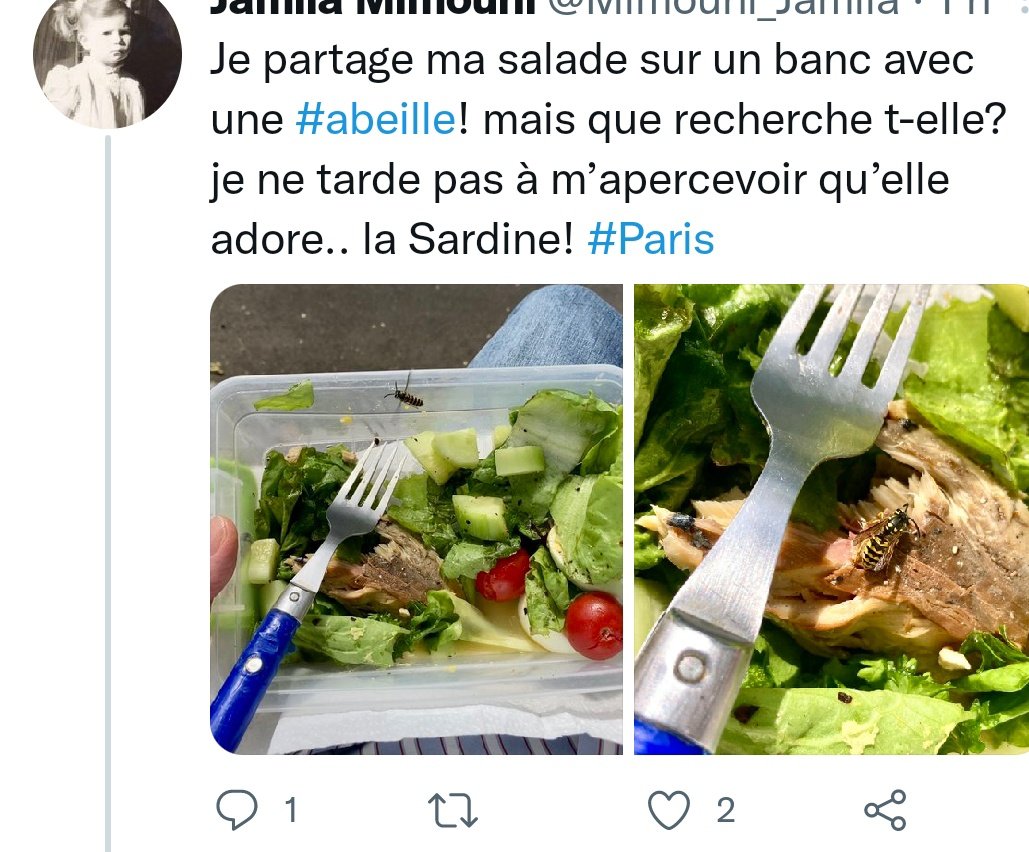 otakrout's tweet image. Personne :

Les Parisiens :