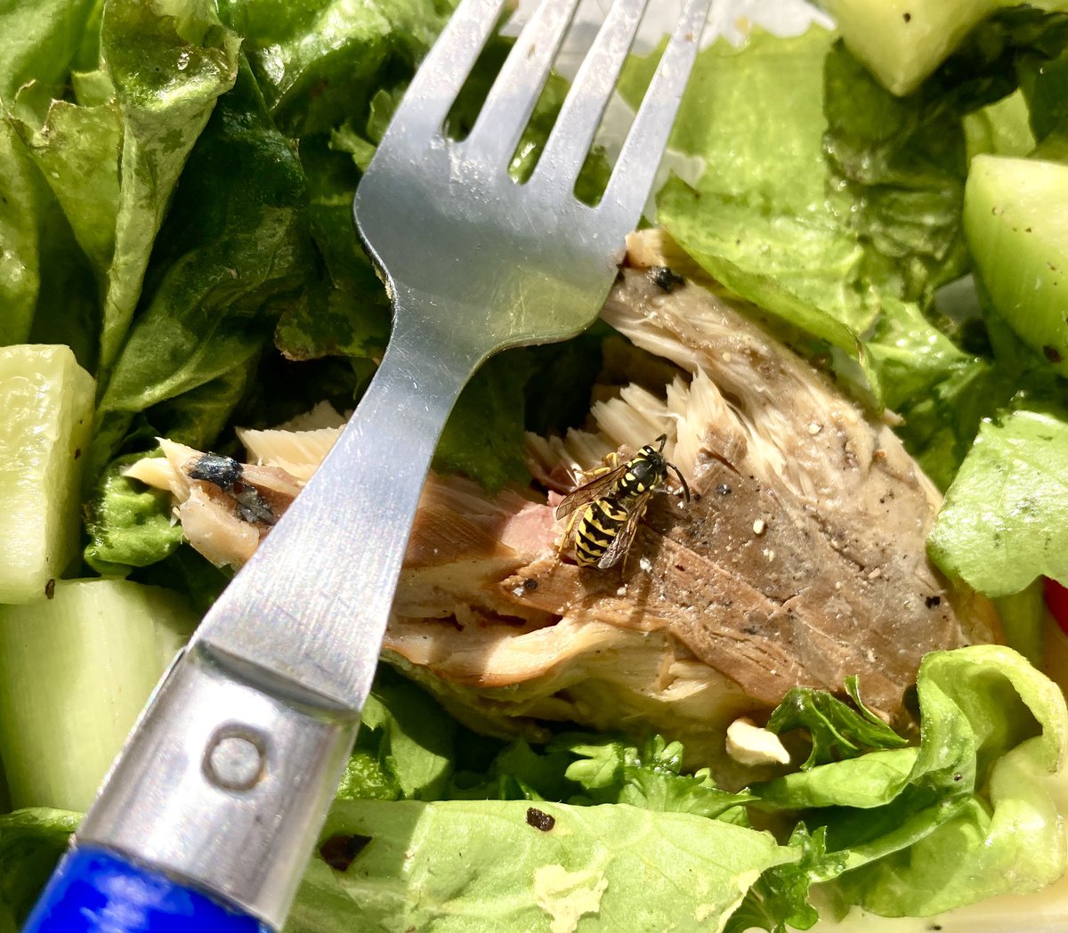 otakrout's tweet image. Personne :

Les Parisiens :