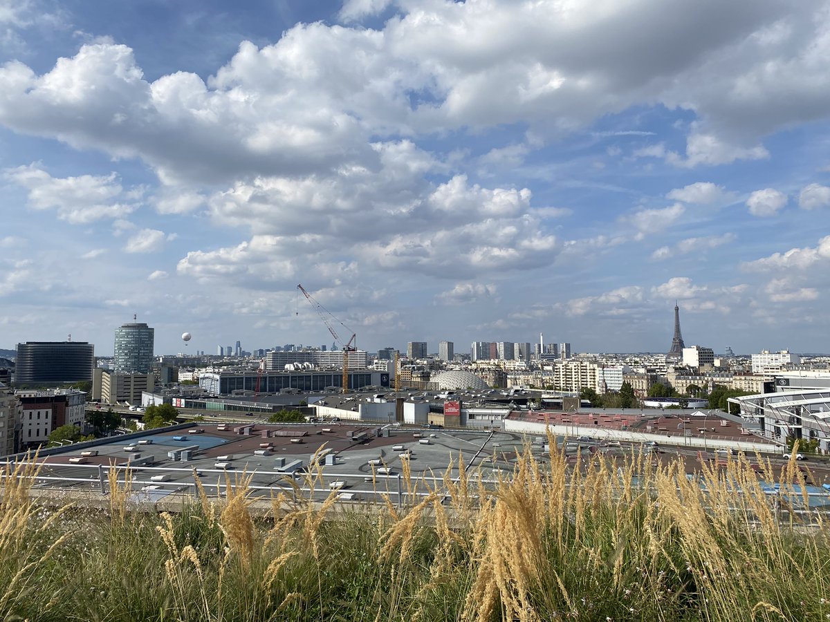 Svetlana Solgaard Nielsen tweet media