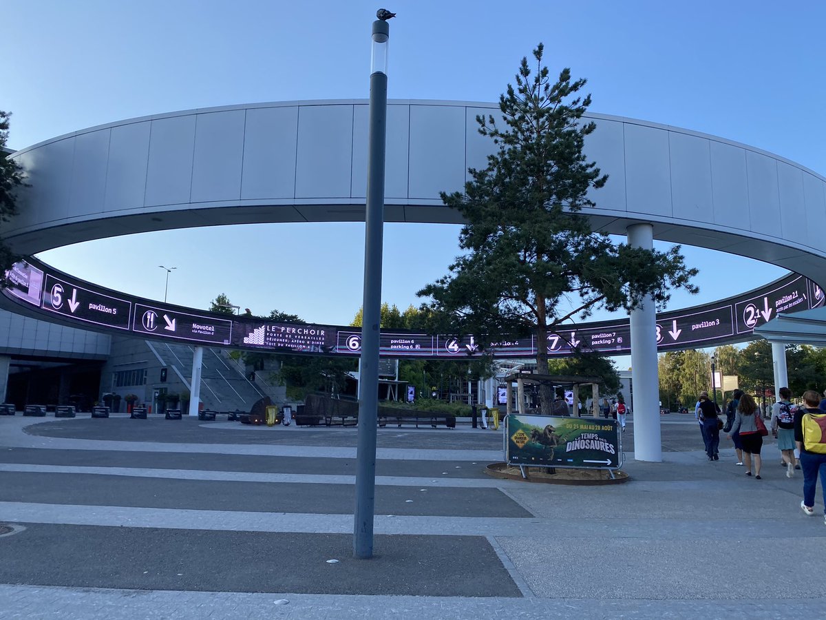 Svetlana Solgaard Nielsen tweet media