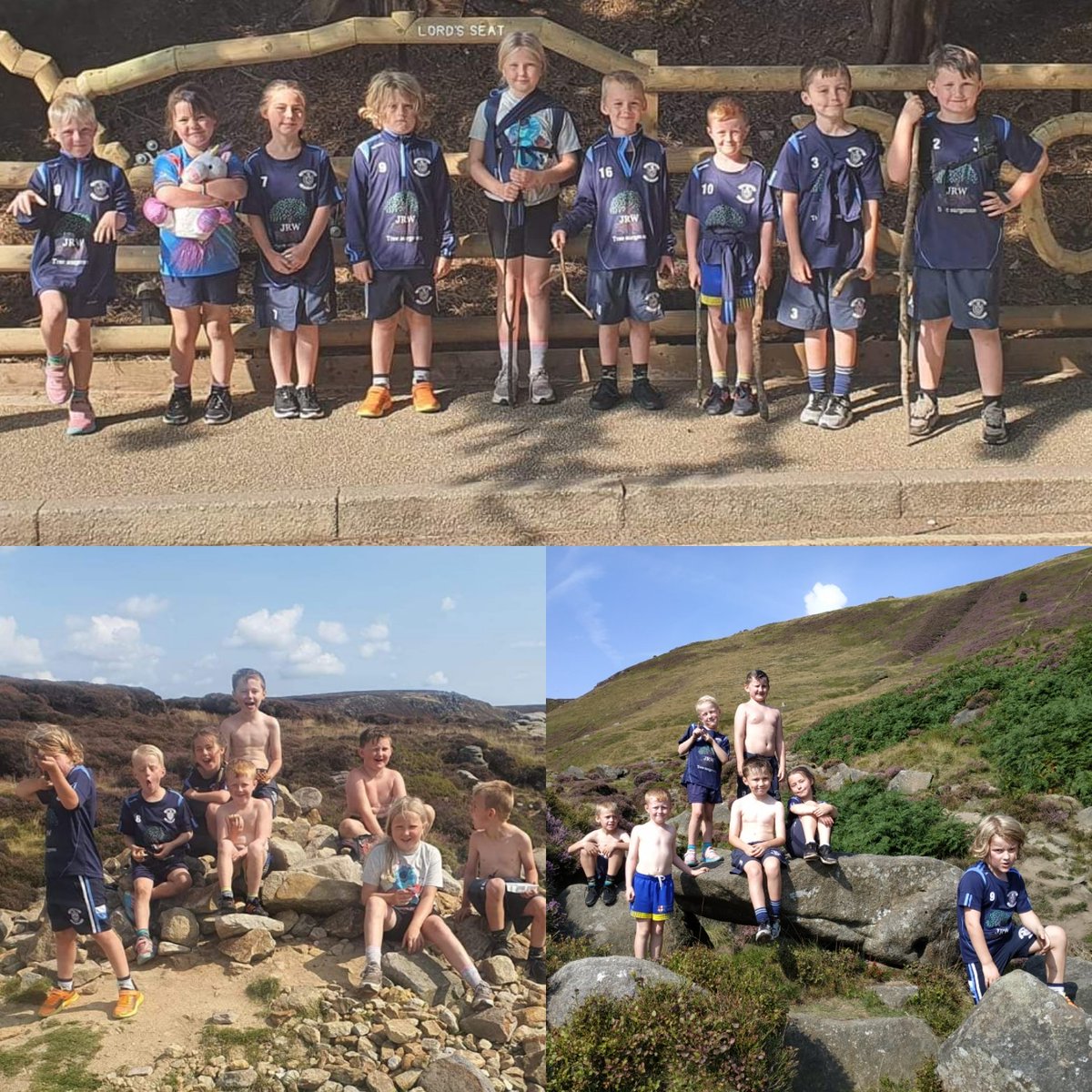 Rylands Sharks Under 9s 2024 tweet media