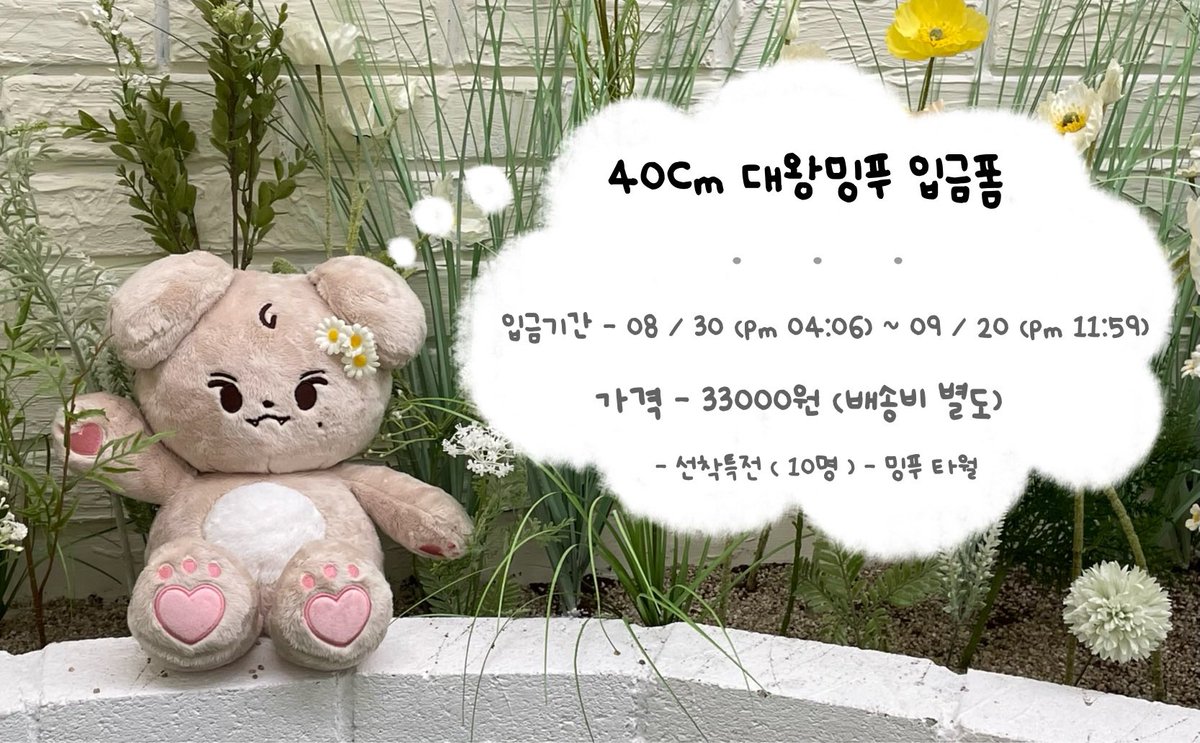 밍푸 tweet media